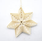 Small White Paper Snowflake