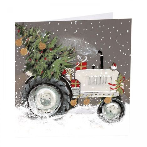 Special Delivery Christmas Cards, pack of 6