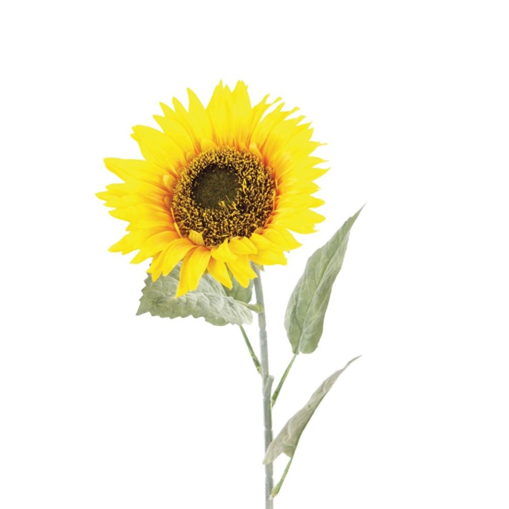 Sunflower, 71cm - Angela Reed -