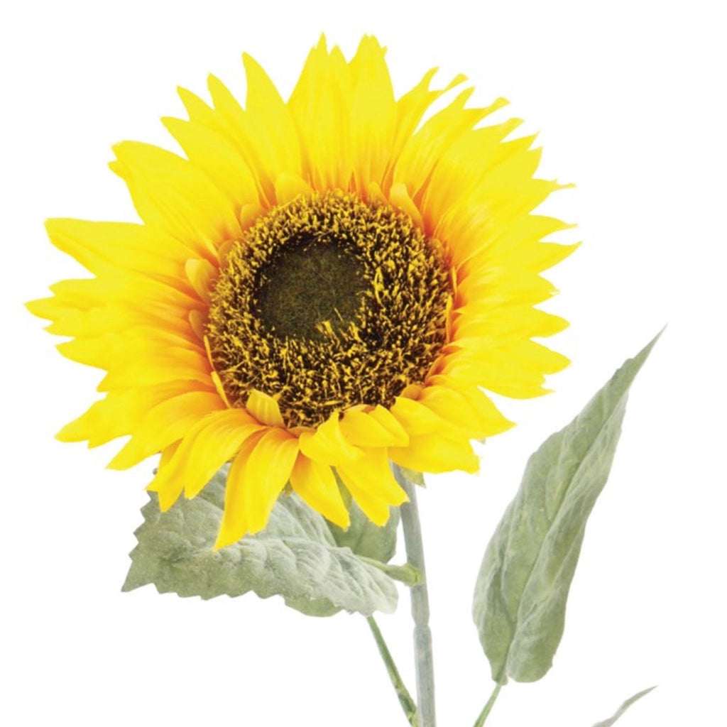 Sunflower, 71cm - Angela Reed -